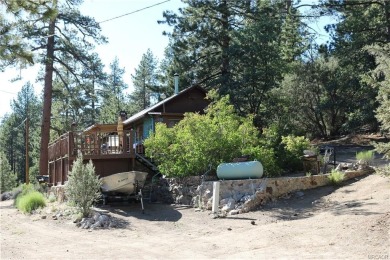 Lake Home For Sale in Fawnskin, California