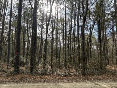 Beautiful 1 acre wooded lot in Silverhill in the historic town - photo 1