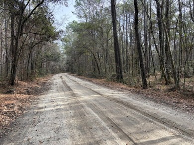 Beautiful 1 acre wooded lot in Silverhill in the historic town - photo 2