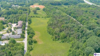 OVER 8 ACRES! Located right in the heart of Munfordville, close - photo 2