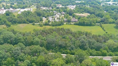 OVER 8 ACRES! Located right in the heart of Munfordville, close - photo 6