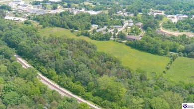 OVER 8 ACRES! Located right in the heart of Munfordville, close - photo 8