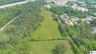 OVER 8 ACRES! Located right in the heart of Munfordville, close - photo 10