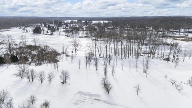 (private lake, pond, creek) Lot For Sale in Berrien Springs Michigan