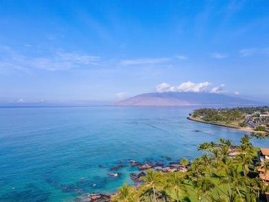 Aloha and welcome to your own private South Maui oasis! Tucked - photo 27
