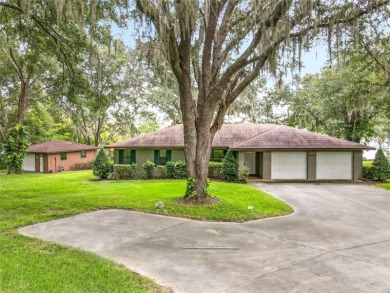 Lake Home For Sale in Umatilla, Florida