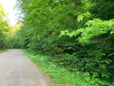 Parcels with Deeded Lake Access - Lake Acreage Sale Pending in Presque Isle, Wisconsin