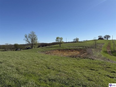 1.11 acres with utilities available AND a gorgeous 150x100 pond - photo 2