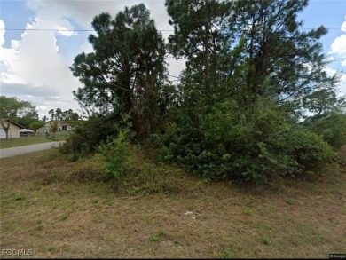 Lehigh Acres Area Lot For Sale in Lehigh Acres Florida