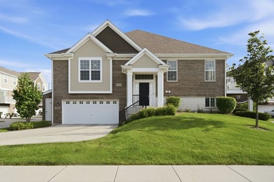 (private lake, pond, creek) Townhome/Townhouse For Sale in Naperville Illinois