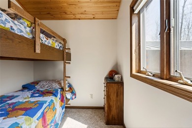 Beautiful cabin on a phenomenal low-elevation lot on the - photo 20