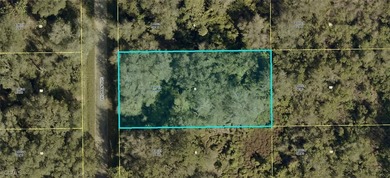 Lehigh Acres Area Lot For Sale in Lehigh Acres Florida
