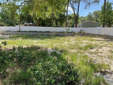 Smith Lake Lot For Sale in Belleview Florida