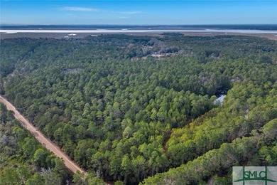 Hidden Gem in Richmond Hill! Discover a rare opportunity to own - photo 10