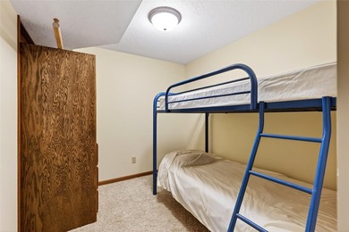 Beautiful cabin on a phenomenal low-elevation lot on the - photo 33