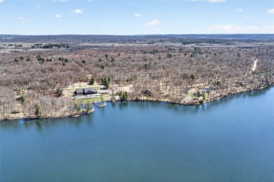 Beautiful cabin on a phenomenal low-elevation lot on the - photo 41