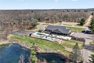 Beautiful cabin on a phenomenal low-elevation lot on the - photo 45