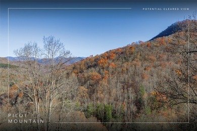 Lake Glenville Lot For Sale in Glenville North Carolina