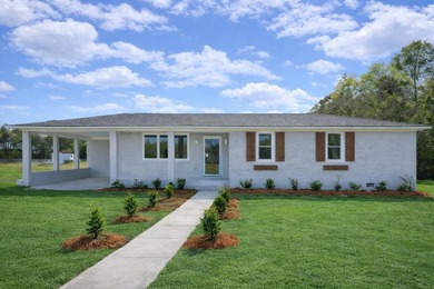 Welcome to 1142 Pearson Road in Manning-where modern updates - photo 1