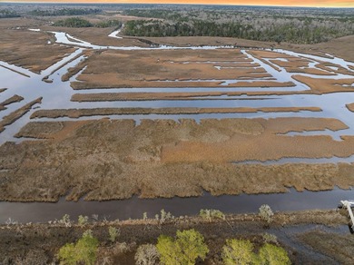 Perched on the premier homesite in the Peninsula at Poplar Grove - photo 10