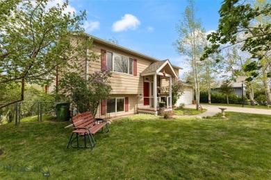 Lake Home Sale Pending in Livingston, Montana