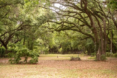 Build 2 homes + 2 detached guest houses minutes from Destin with - photo 2