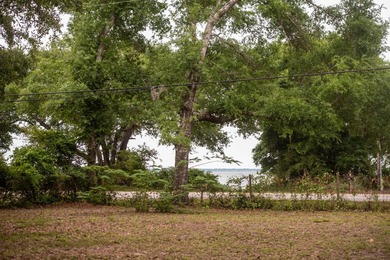 Build 2 homes + 2 detached guest houses minutes from Destin with - photo 4
