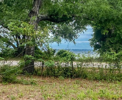 Build 2 homes + 2 detached guest houses minutes from Destin with - photo 6