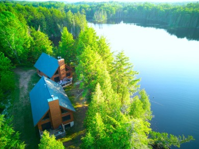 (private lake, pond, creek) Home For Sale in  Michigan