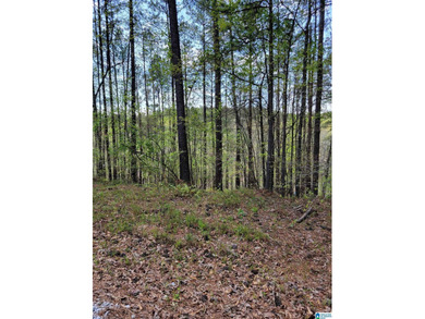 Lakefront Lot for Sale Size: 0.5 acres Waterfront: 150 feet - photo 1