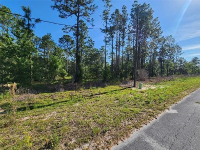 Lake Lot For Sale in Dunnellon, Florida