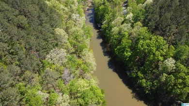 Lakefront Lot for Sale Size: 0.5 acres Waterfront: 150 feet - photo 3