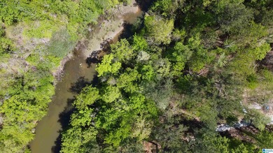 Lakefront Lot for Sale Size: 0.5 acres Waterfront: 150 feet - photo 4