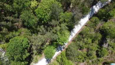 Lakefront Lot for Sale Size: 0.5 acres Waterfront: 150 feet - photo 6