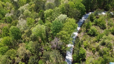 Lakefront Lot for Sale Size: 0.5 acres Waterfront: 150 feet - photo 7