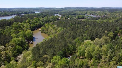 Lakefront Lot for Sale Size: 0.5 acres Waterfront: 150 feet - photo 8