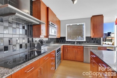 Enjoy Exceptionally stunning city views and sunsets from this - photo 9