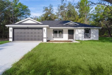 Lake Home Sale Pending in Ocklawaha, Florida