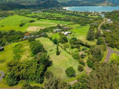 Set within the prestigious Hanalei Garden Farms Estates, this - photo 14