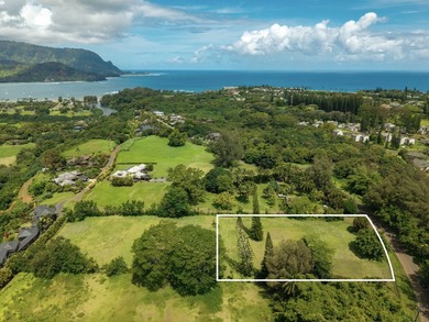 Set within the prestigious Hanalei Garden Farms Estates, this - photo 15
