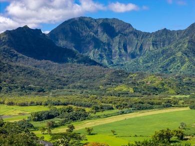 Set within the prestigious Hanalei Garden Farms Estates, this - photo 17