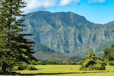 Set within the prestigious Hanalei Garden Farms Estates, this - photo 18