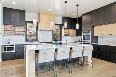Reservoir-view mountain contemporary living in Deer Mountain: - photo 7