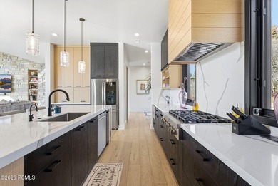 Reservoir-view mountain contemporary living in Deer Mountain: - photo 9