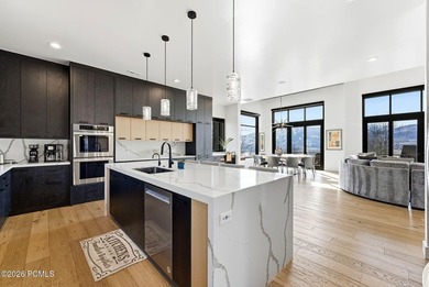 Reservoir-view mountain contemporary living in Deer Mountain: - photo 10