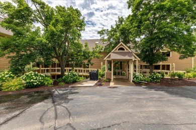Lake Condo For Sale in Galena, Illinois
