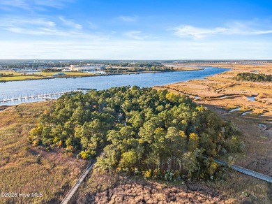 Rare opportunity to own a .55-acre homesite in Preservation - photo 50