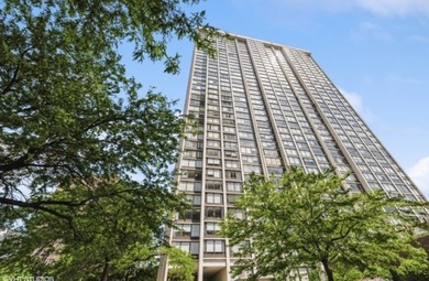 Lake Michigan - Cook County Condo For Sale in Chicago Illinois