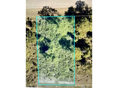 Lehigh Acres Area Lot For Sale in Lehigh Acres Florida