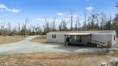 Lake Home For Sale in Elizabeth, Arkansas